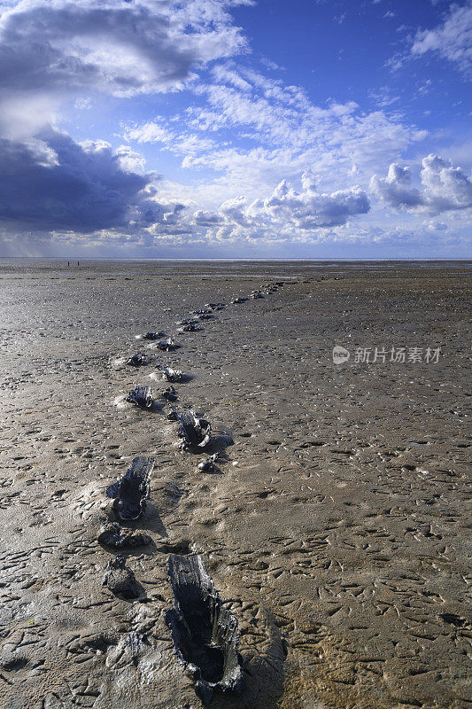 在荷兰北部带有潮汐沙滩的瓦登海自然保护区“de Wadden”，在一片空旷的景观中，人们在泥泞中行走